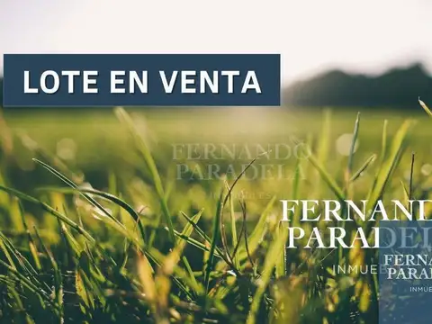 Terreno / Lote en venta de 310m2 ubicado en Villa Gobernador Udaondo