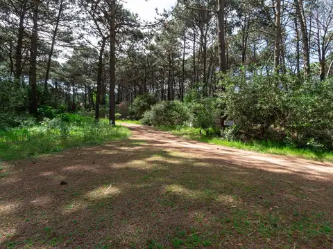 Terreno en venta de 1100m2 ubicado en Laguna Del Sauce