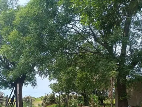 A 270 mts. de Avenida del Rosario (interno) 100