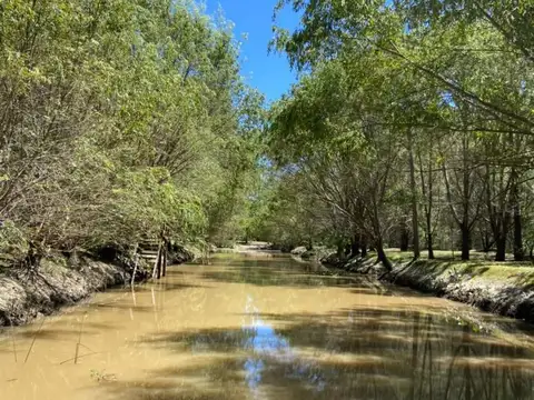 Palmares del Delta