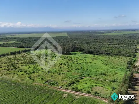 Ruta Nacional 100