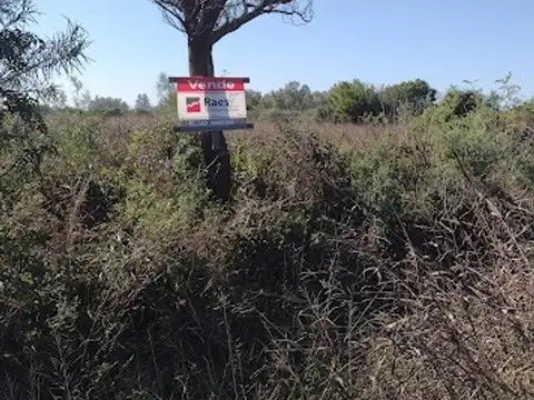 Terreno en Venta en Recreo, USD 90.000