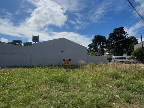 MADARIAGA Y J.V. GONZALEZ