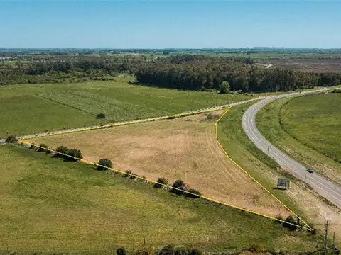 Campo en Venta de 2  ha