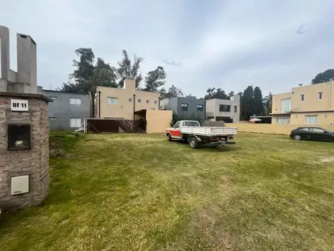 Mario Bravo 300