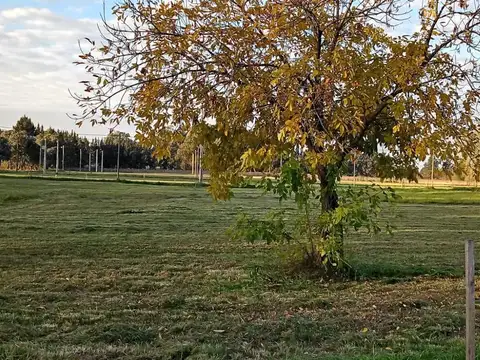 Terreno en VENTA 