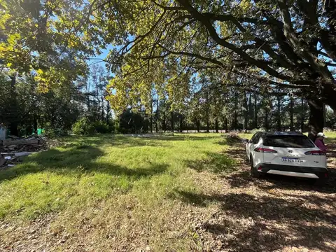 VENTA LOTE 3200M2 EXC.UBIC.  RUTA 26 ING.MASCHWITZ