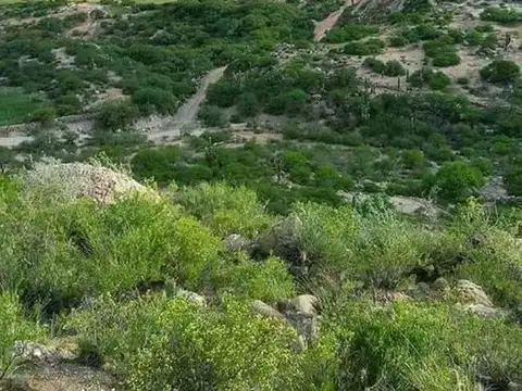 Terreno en Venta de 4001,0 m2