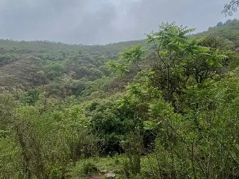 Terreno en venta en  San Lorenzo