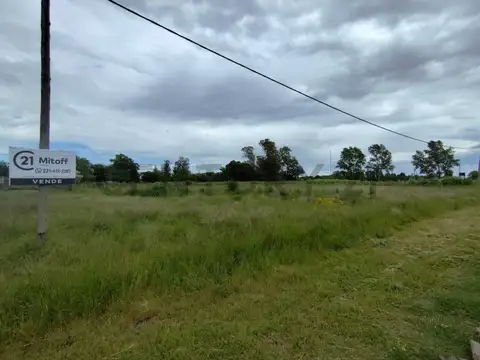 Mariano J. Fauvety , Piso 0