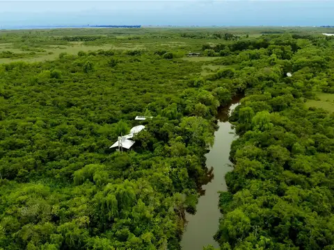 Chacras de una hectárea en un secreto lugar del Tigre
