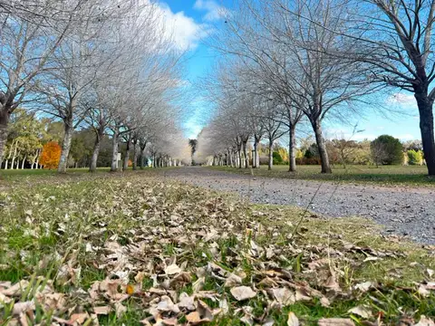 Terreno en Venta en Carlos Spegazzini, USD 32.000