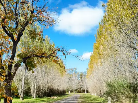 Terreno en Venta de 1120,0 m2