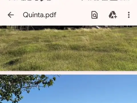 CAMPO EN CHIVILCOY