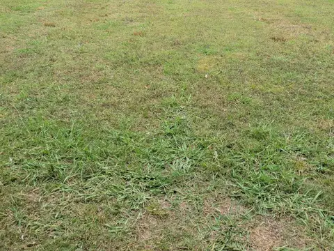 Terreno en Venta en Haras San Pablo, USD 99.000