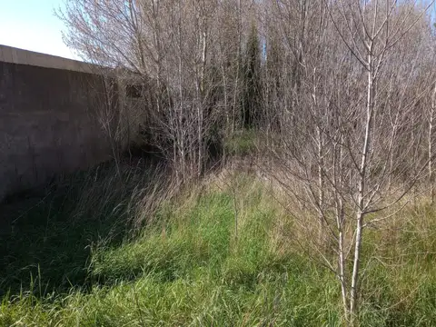 Venta de lote barrio Libertad 520 m2