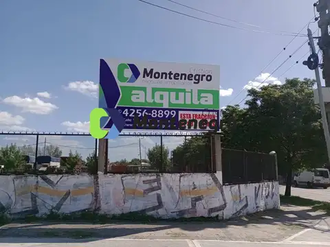 Terreno en Alquiler de 4000,0 m2