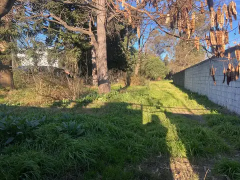 Av 520 entre 159 y 160 Melchor Romero