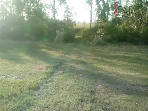Chacra en Venta en Ruta 9 de 5 hectáreas