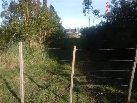 Chacra en Venta en Ruta 9 de 5 hectáreas