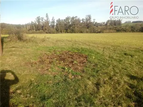 Campo en Venta de 5  ha