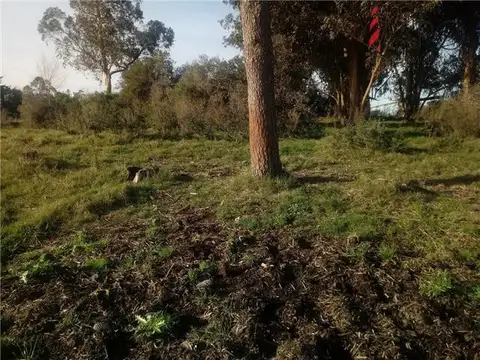 Campo en Venta Chacra
