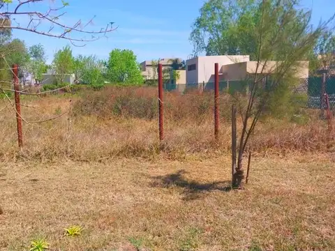 VENTA - Terreno 504 m2 - Roldán, Santa Fe