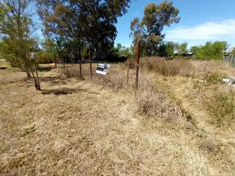 Terreno en Venta 42  mts Fondo