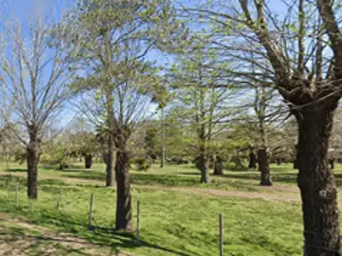 Terreno en Venta en Monte Grande, USD 2.700.000