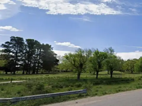 Venta 50 Hectareas Sobre Ruta 16 - Canning