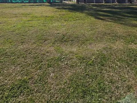 Terreno en Venta en Pilar del Este - Santa Emilia, USD 32.000