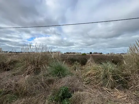 Terreno en Venta de 300,0 m2