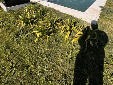 Terreno en Villa Elvira