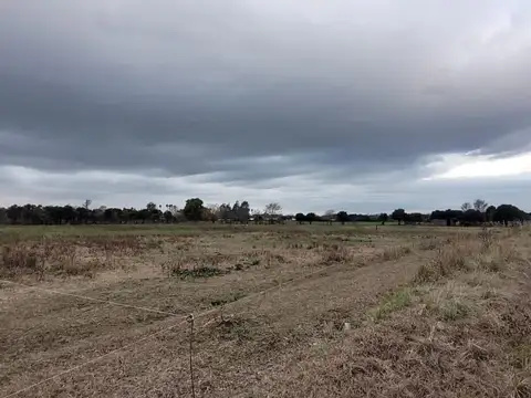 VENTA FINCA CON VIÑEDO COLONIA CAROYA