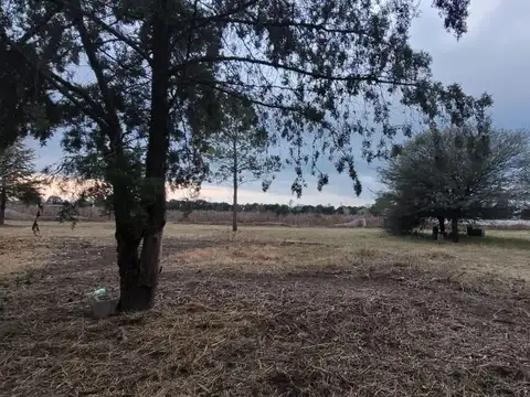 VENTA FINCA CON VIÑEDO COLONIA CAROYA