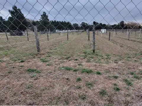 Campo en Venta en Colonia Caroya, Colón