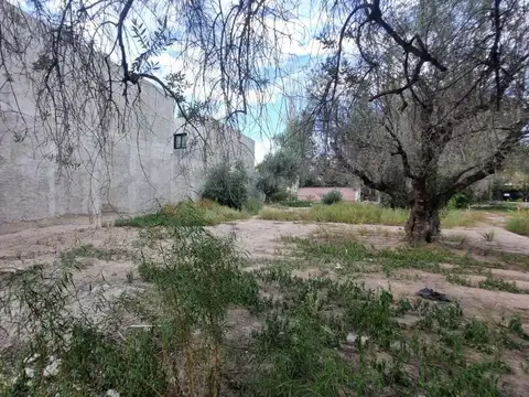 Terreno en Venta de 487,0 m2
