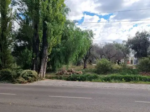 TERRENO DE 461 M2 EN CALLE PALMA, MAIPÚ - APTO PH!