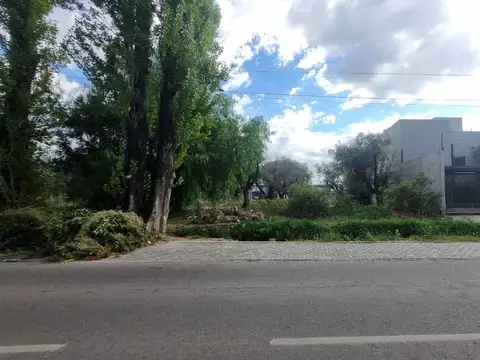 Palma s/n, Ciudad, Maipú, Mendoza