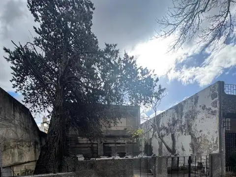 LOTE  PREMIUN en VILLA URQUIZA  8.66 X 49,50 M2