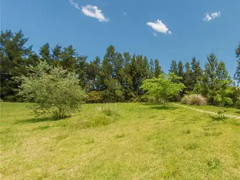 TERRENOS/FRACCIONES/LOTEOS - TERRENOS - LIBERTAD