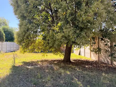 Terreno en Venta de 317,0 m2