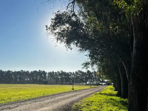 Av Centenaraio - Ruta Pcial 200 100