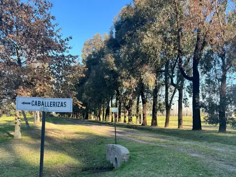 Terreno en Venta 62  mts Fondo