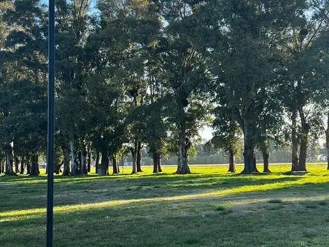LOTES ESCRITURADOS A EXCELENTE PRECIO EN CLUB DE CAMPO Y POLO "LA PINTADA", GENERAL LAS HERAS
