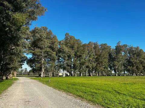 Terreno en Venta 32  mts Frente