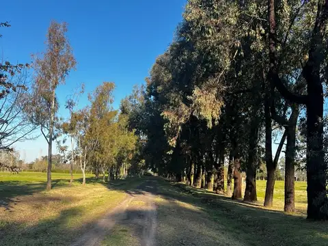 Terreno en Venta de 2000,0 m2