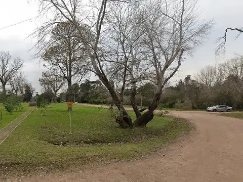 Terreno en Venta de 1181,0 m2