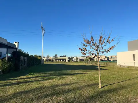 Terreno en Venta de 917,0 m2