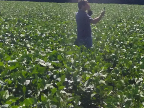 Campo en Venta Agricola